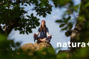 homeostaza holistyczna