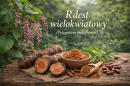 rdest wielokwiatowy na co działa