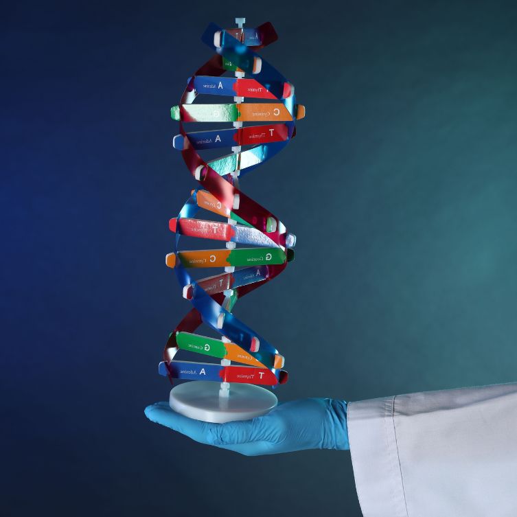 Rytm zycia podporzadkowany biologii