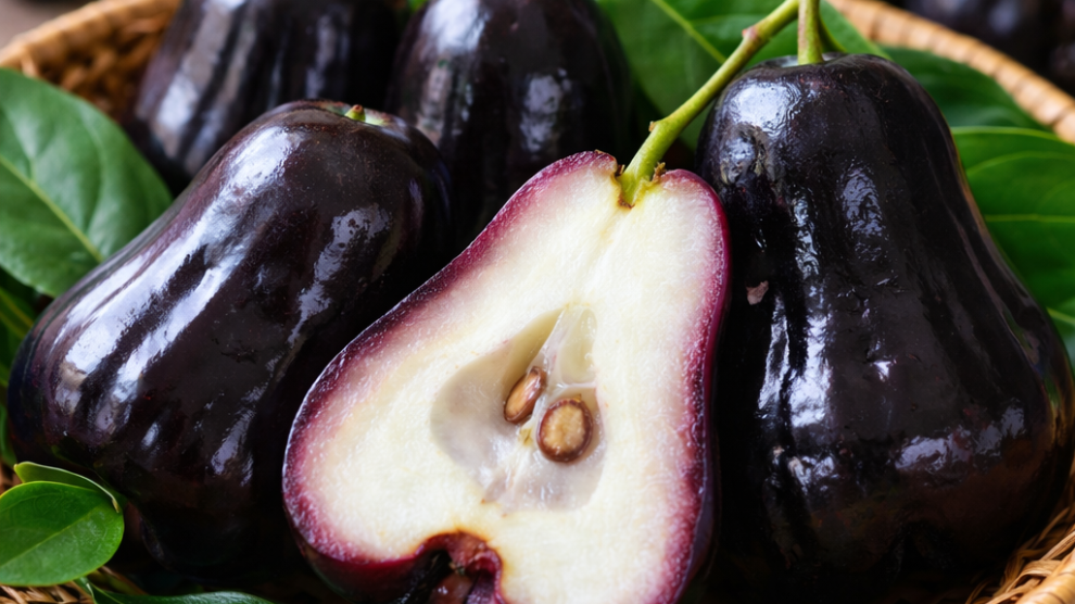 Czapetka kuminowa może pomóc w walce z cukrzycą