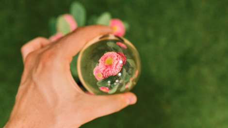 hartowanie w naturze