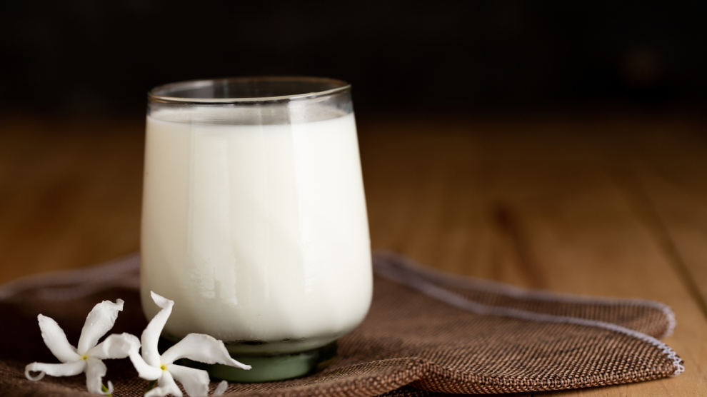 produkty fermentowane