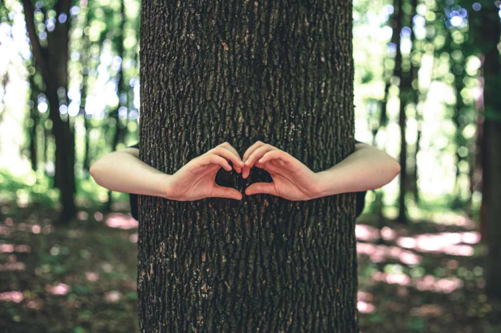 Womens hands hug tree forest love nature 1024x682