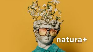 Fenomen Joe Dispenzy