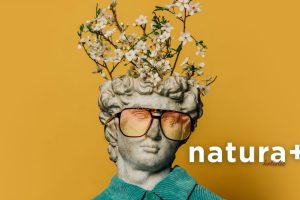 Fenomen Joe Dispenzy