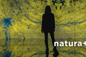 programowanie umysłu