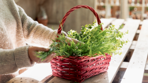 Close up woman arranging plants basket 300x168