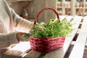Close up woman arranging plants basket 300x200