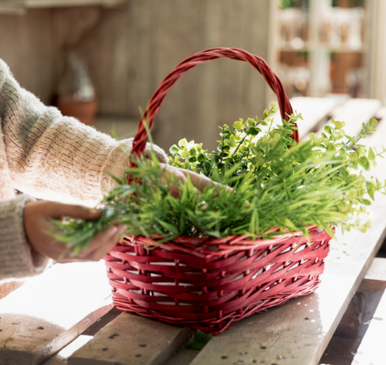 Close up woman arranging plants basket 550x520