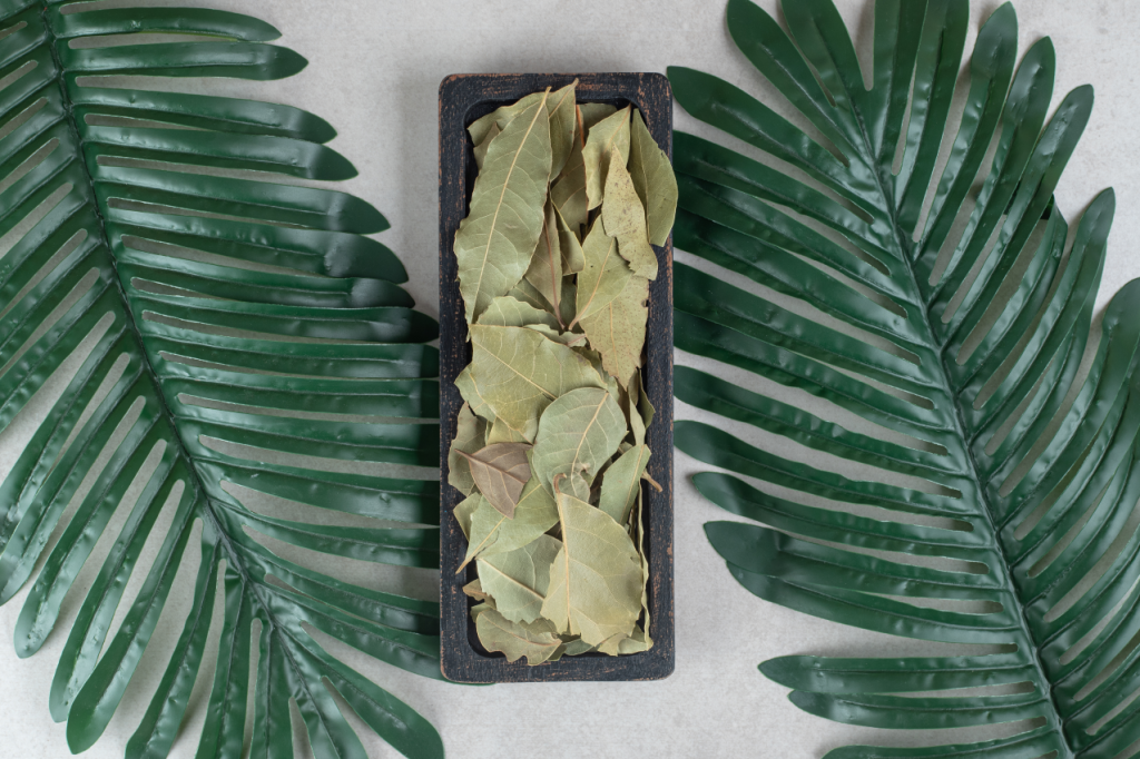 Dried green bay leaves wooden plate 1024x682