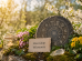 Horoskop mail title 74x55