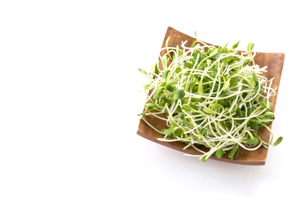 Sunflower sprouts 1024x682