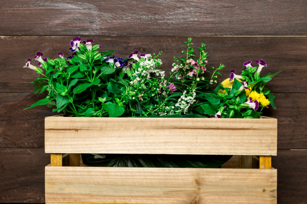 Wooden box with garden flowers 1024x682