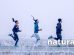 kultura wellness