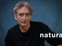 Gabor Mate 215x161