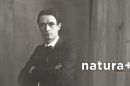 Rudolf Steiner 130x86