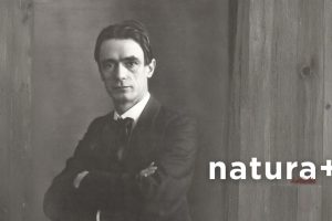 Rudolf Steiner 300x200