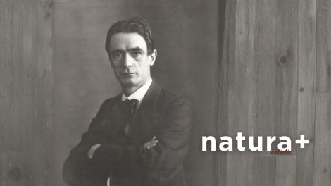 Rudolf Steiner 470x264