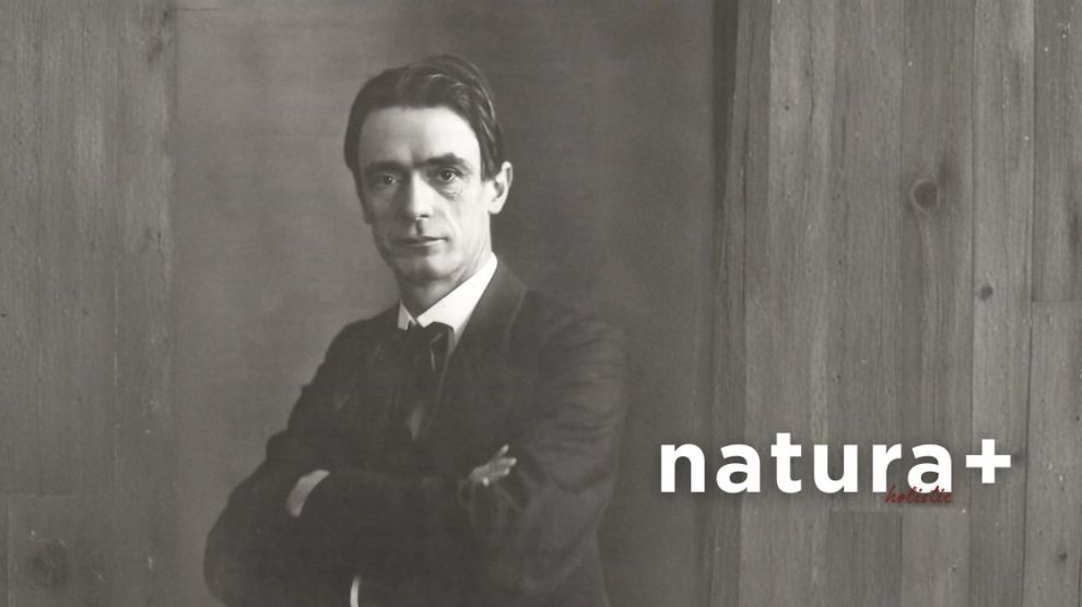 Rudolf Steiner 990x556