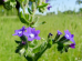 Istockphoto 2258471000 2048x2048 1 74x55