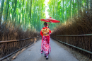 Las bambusowy w Japonii 130x86