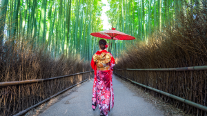 Las bambusowy w Japonii 300x168