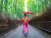Las bambusowy w Japonii 74x55