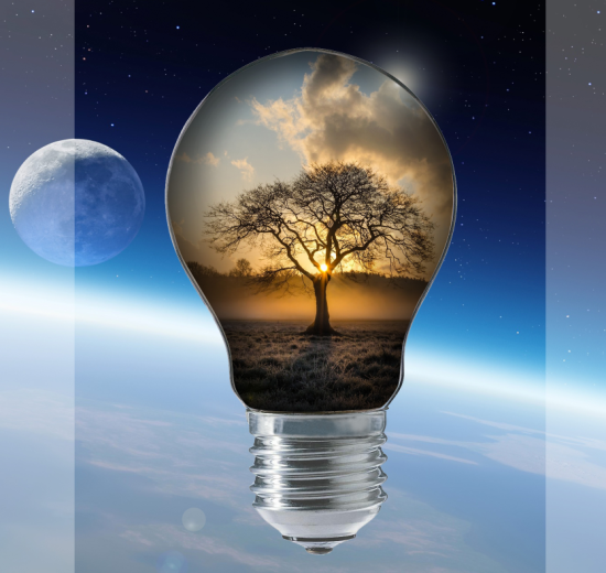 Piro4d light 2674160 550x520