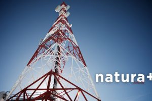 sieć 6G i higiena elektromagnetyczna