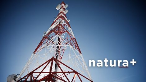 sieć 6G i higiena elektromagnetyczna