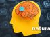 neuroplastyczność