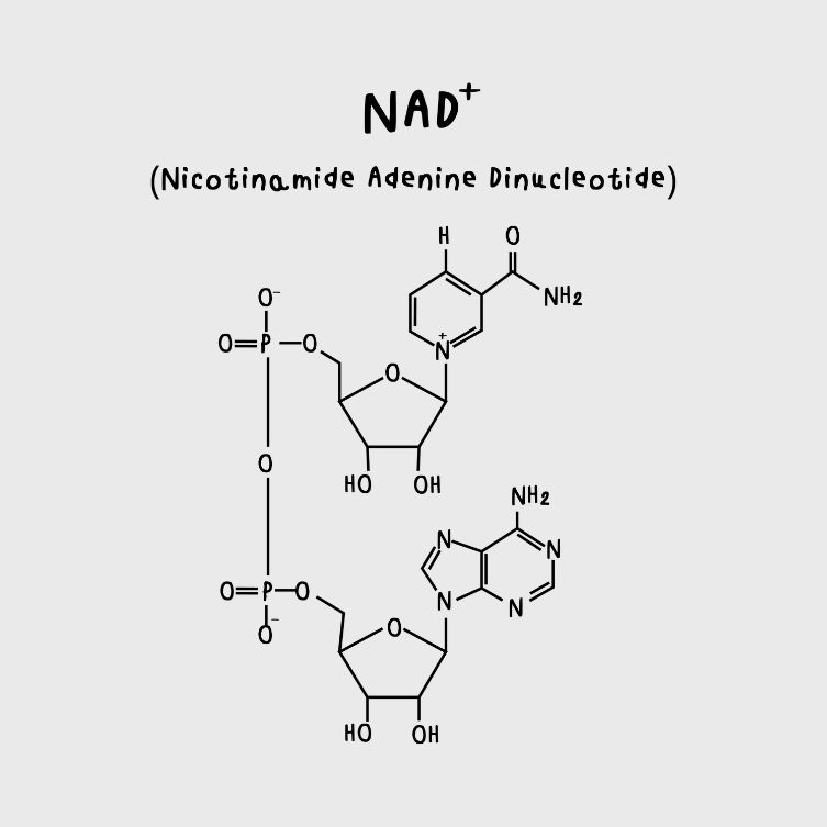 NAD