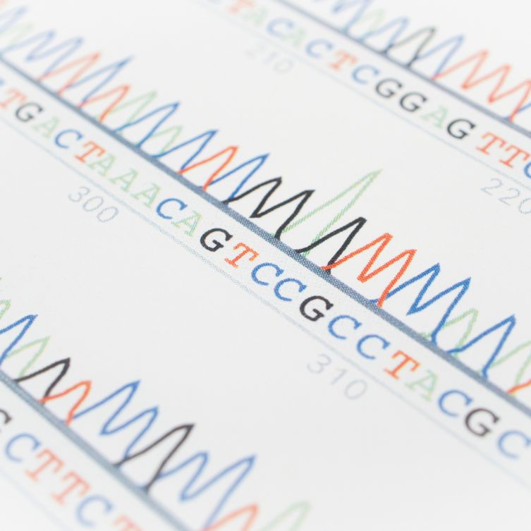 System CRISPR
