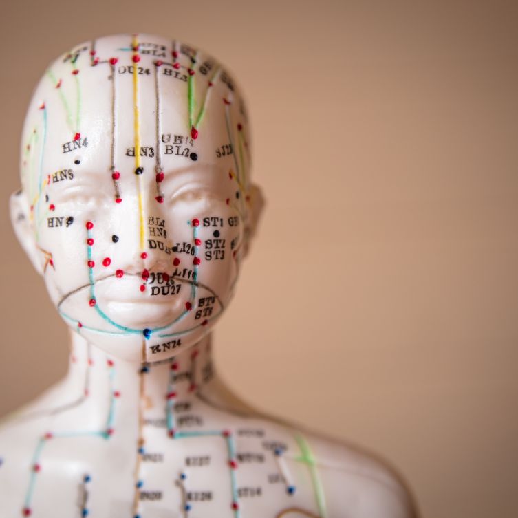 Teoria a mechanizm biochemiczny %E2%80%93 to nie to samo