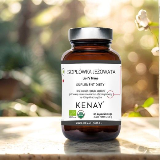 Kenay soplowka 1