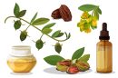 jojoba