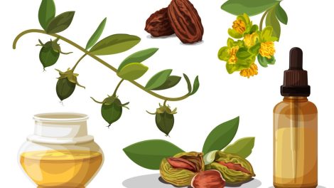 jojoba