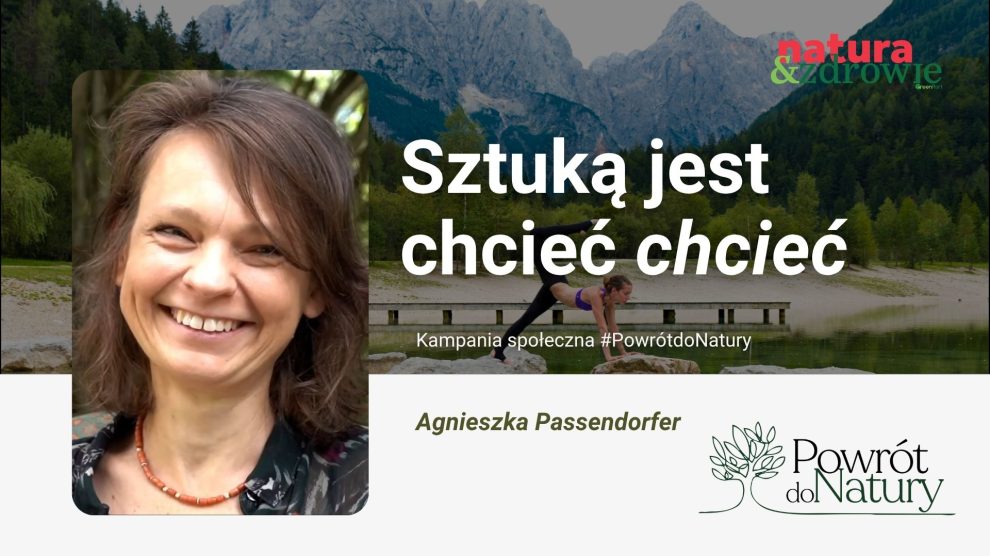 joga i medytacja