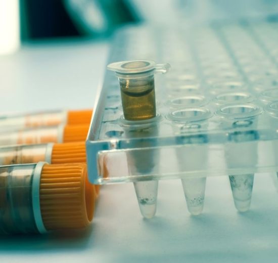 Immunoterapia i terapie celowane zmienily leczenie nowotworow 550x520