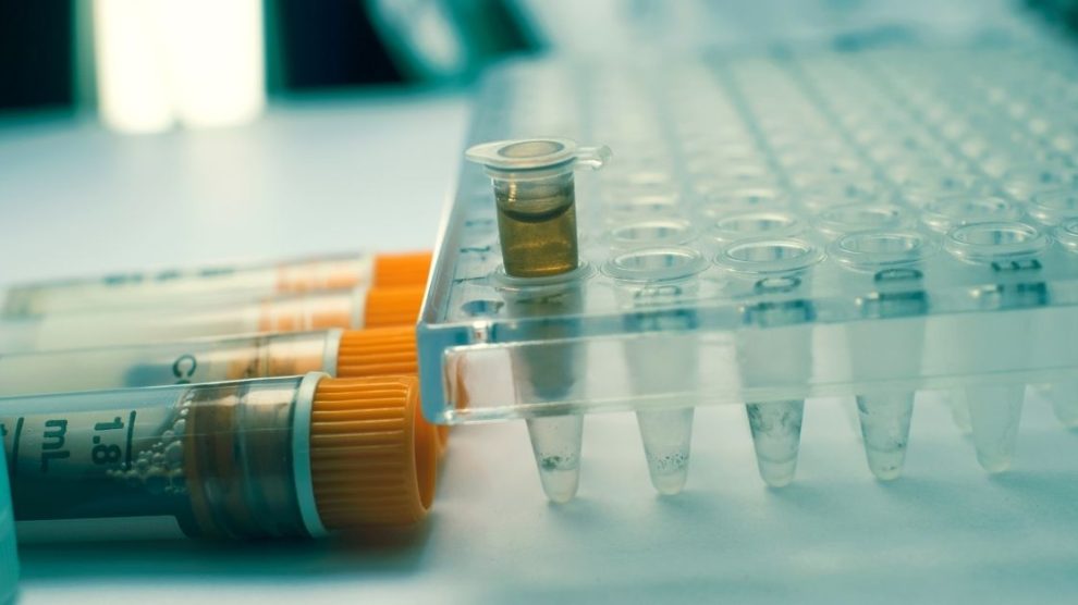 Immunoterapia i terapie celowane zmienily leczenie nowotworow 990x556