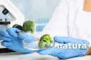 Naturalne substancje przeciwnowotworowe 130x86