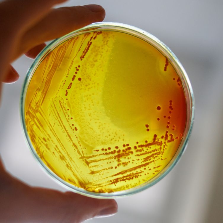 Nie zyjemy w biologicznej prozni