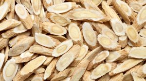 Czym jest astragalus