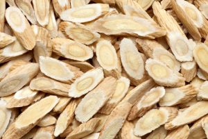 Czym jest astragalus