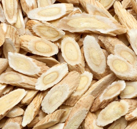 Czym jest astragalus