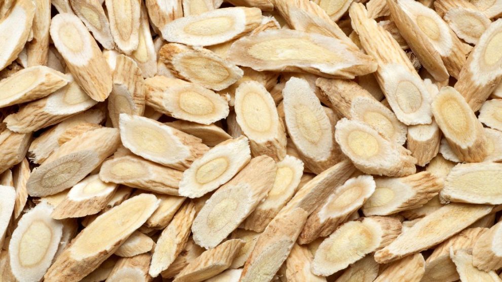 Czym jest astragalus