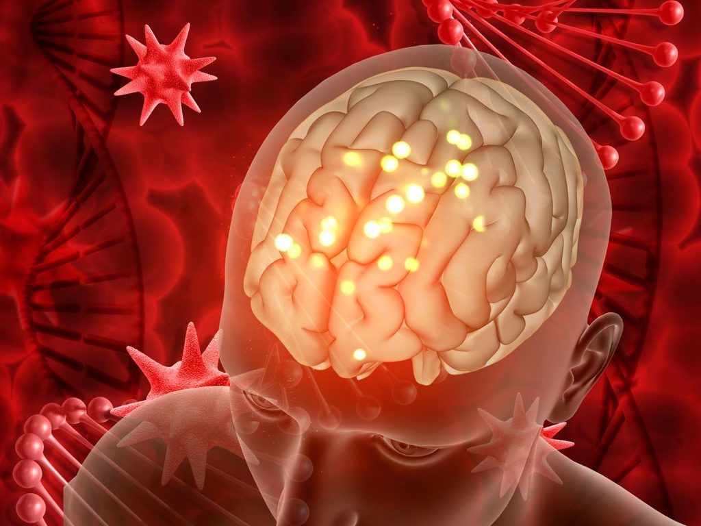 3d medical background with male figure brain 1024x768