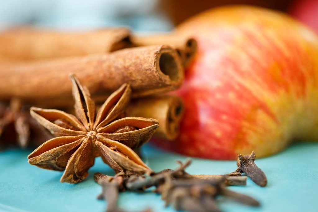 Apple cloves cinnamon apple pie ingredients 1024x682