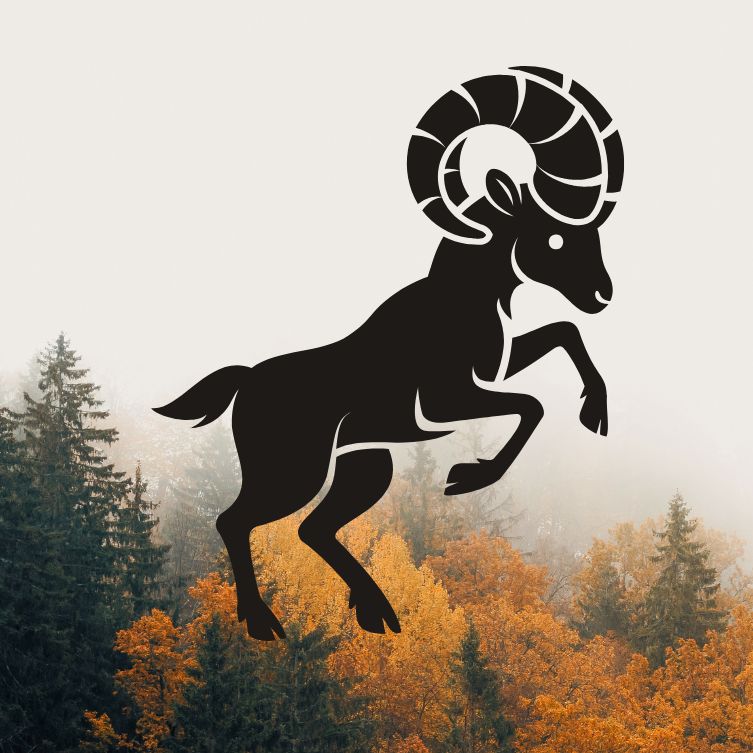 Baran horoskop