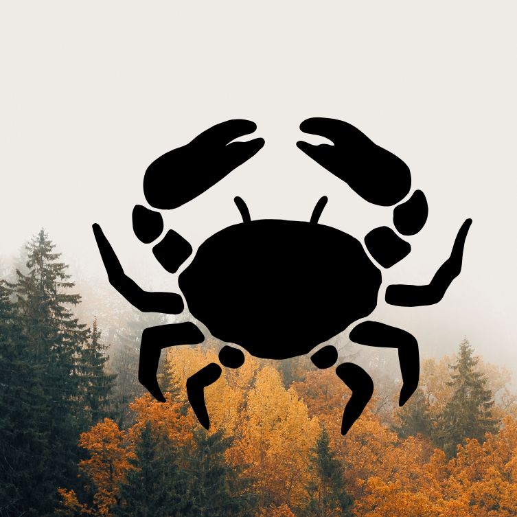 Rak horoskop